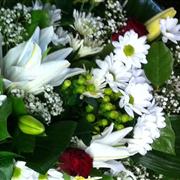Florist Chioce Casket Peak Time